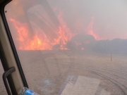 Bushfire, Flinders Chase, KI