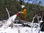 Scrub fire, Kuitpo