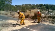 Tree across road cleanup - Macclesfield