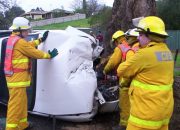 Road Crash, Coromandel Valley