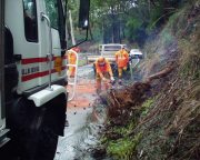 Tree Down, Lenswood