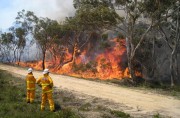 National Park Burnoff, Morialta