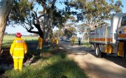 Grass Fire, Naracoorte