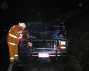Car vs Tree, Basket Range