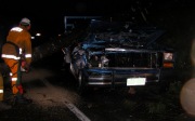 Car vs Tree, Basket Range