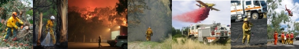 The CFS in Action!