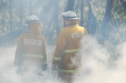 Scrub fire, Carey Gully