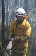 Scrub fire, Carey Gully