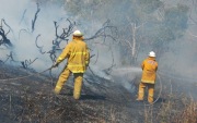 Hazard reduction burn, Cleland