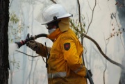 Hazard reduction burn, Cleland
