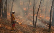 Hazard reduction burn, Cleland
