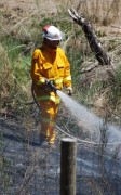 Grass fire, Carey Gully