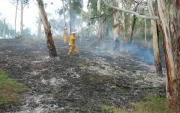 Scrub fire, Basket Range