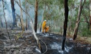 Scrub fire, Basket Range