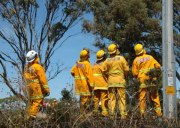 Grass fire, Monarto