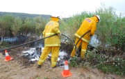 Grass fire, Basket Range
