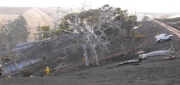 Grass fire, Rapid Bay