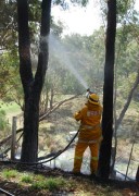 Scrub fire, Mt George