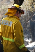 Scrub fire, Mt George