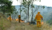 Grass fire at Anstey Hill