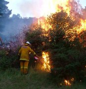 Hazard reduction burn