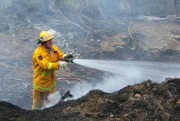 Scrub Fire, Carey Gully