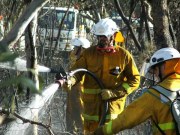 Scrub Fire, Para Wirra