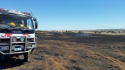 Grass fire, Tarlee