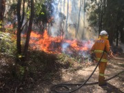 Burn off, Carey Gully