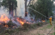 Burn off, Carey Gully
