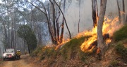 Burn off, Carey Gully