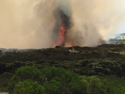 Scrub fire, Elliston