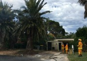 Palm tree fire, Aldinga