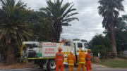 Palm tree fire, Aldinga