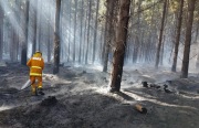 Plantation fire, Nangwarry
