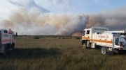 Grass and scrub fire, Ki Ki