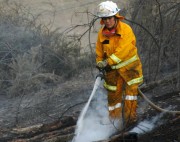 Mop up at Cudlee Creek