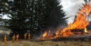 Out of control burn off - Marble Hill