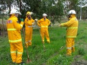 BFF-1 , Naracoorte