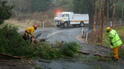 Tree down Ashton