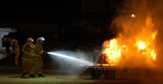 Royal Adelaide Show demo