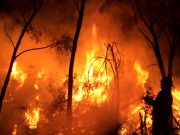 Burn off, Hermitage