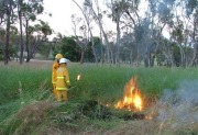 Burn off, Naracoorte