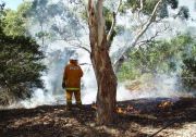 Anstey Hill Burnoff, DEH