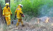 Grass Fire - Carey Gully