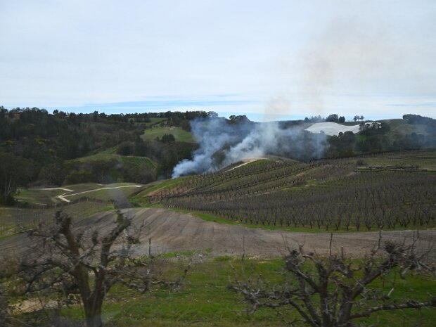 Grass Fire, Ashton. 24th August 2025