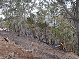 DSC_7985.JPG