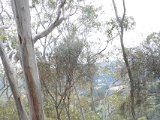 DSC_7991.JPG