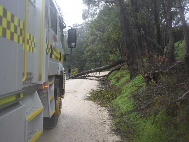 Tree Down, Basket Range. 26th July 2025