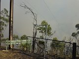 _DSC6881.JPG